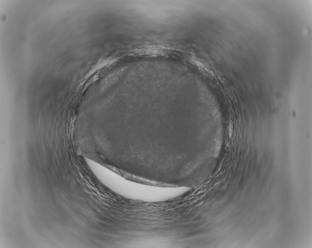 X0000087021206200705141848