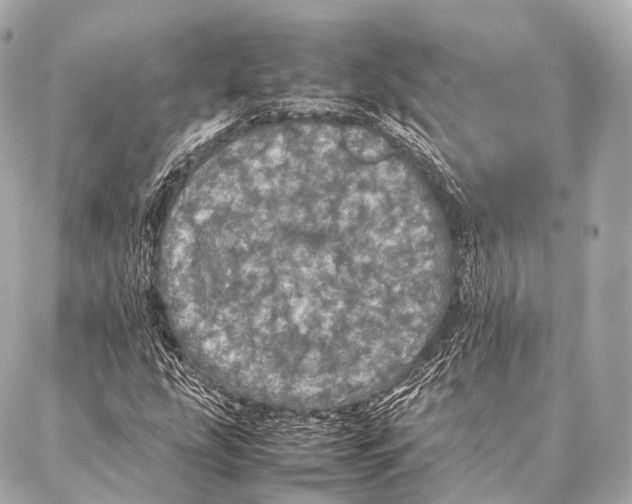 X0000087021207200705141848