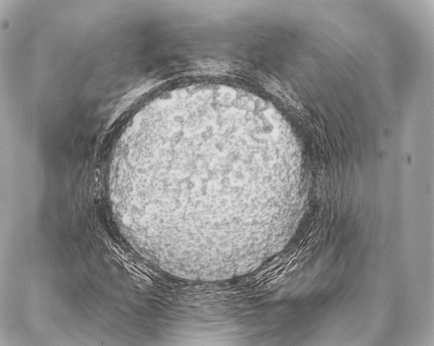 X0000087021208200705141848