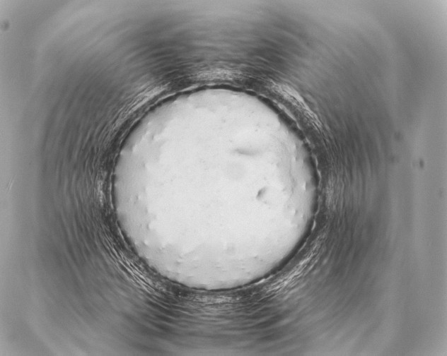 X0000087021209200705141848