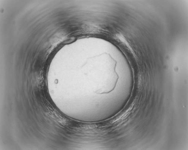 X0000087021210200705141848