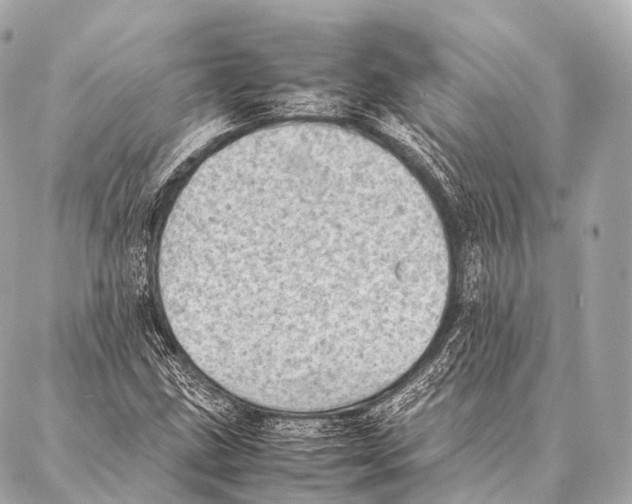 X0000087021211200705141848