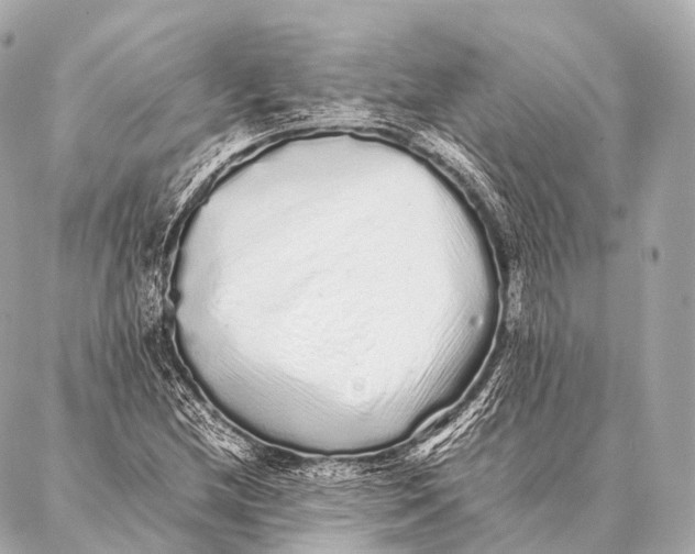 X0000087021212200705141848