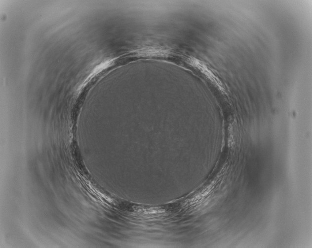 X0000087021213200705141848