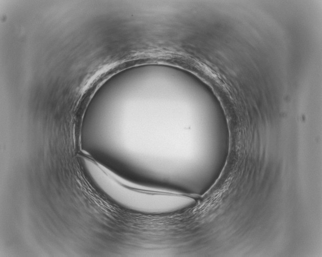 X0000087021214200705141848