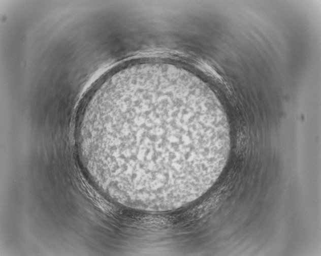 X0000087021216200705141848