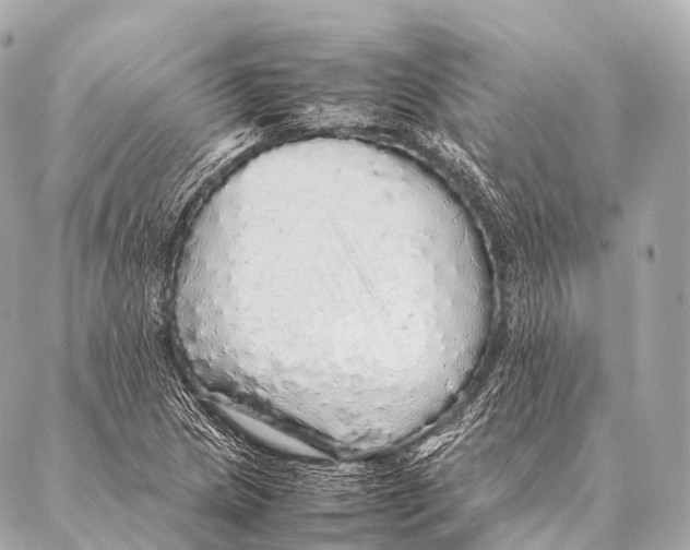 X0000087021217200705141848