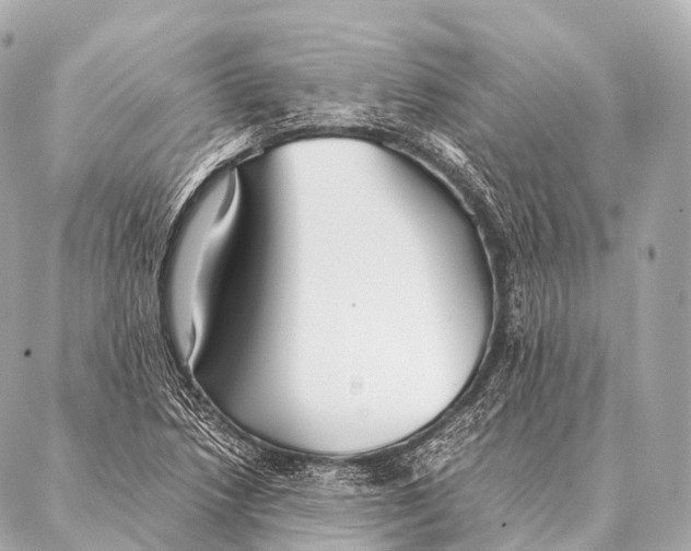 X0000087021218200705141848