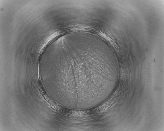 X0000087021219200705141848