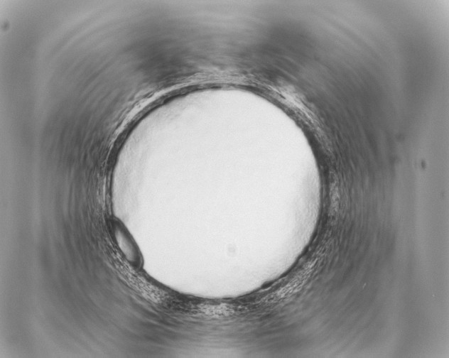 X0000087021220200705141848