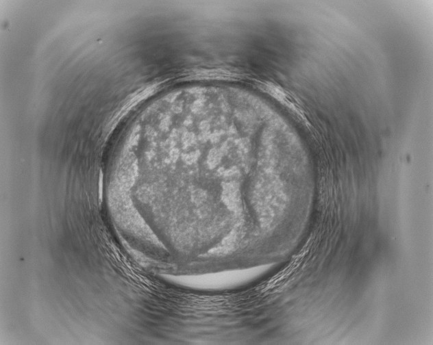 X0000087021221200705141848