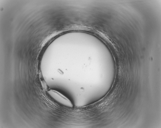 X0000087021222200705141848