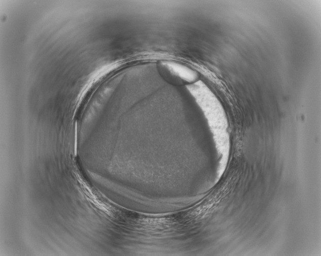 X0000087021223200705141848