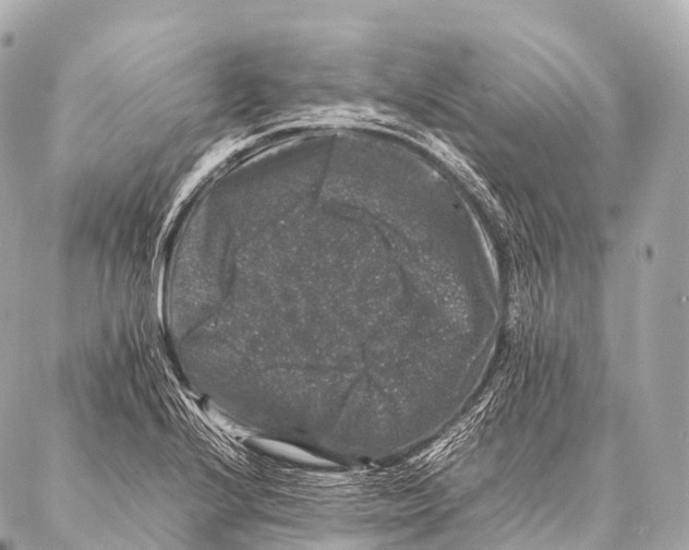 X0000087021224200705141848