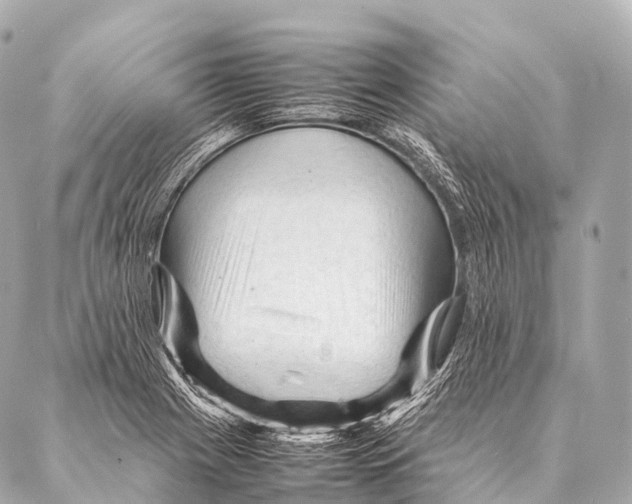 X0000087021225200705141848