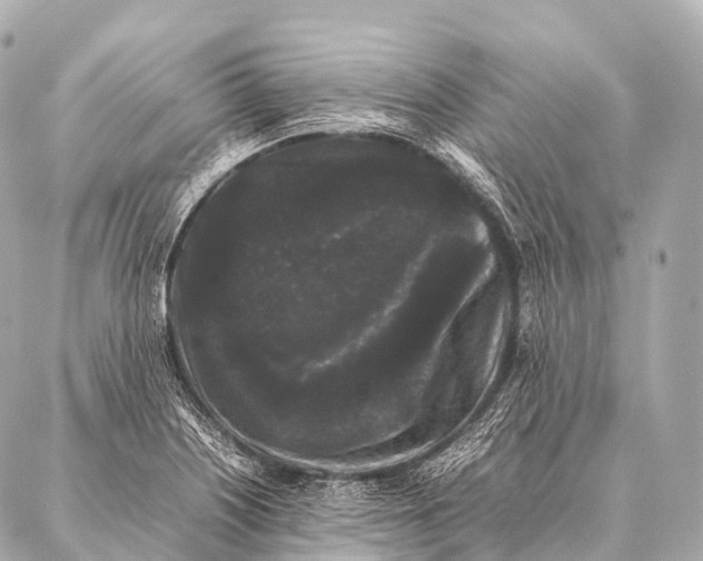 X0000087021226200705141848