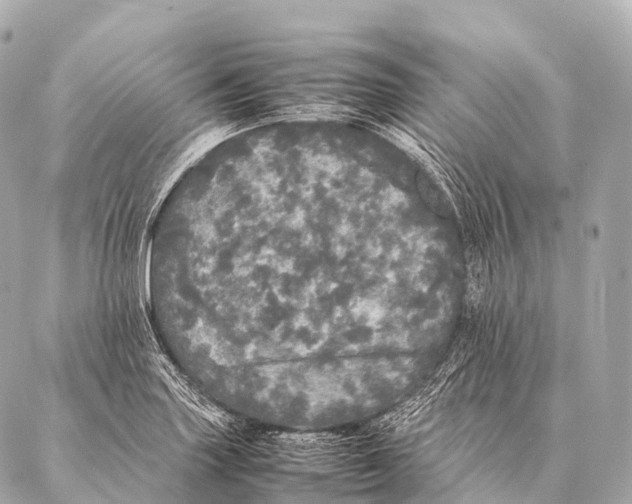 X0000087021227200705141848