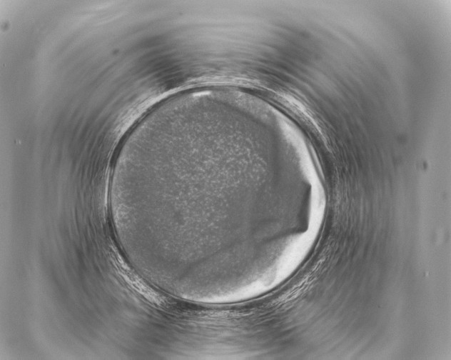 X0000087021228200705141848