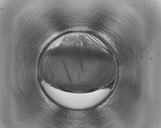 X0000087021229200705141848