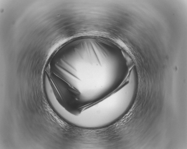 X0000087021230200705141848