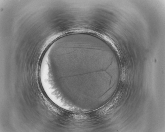 X0000087021231200705141848