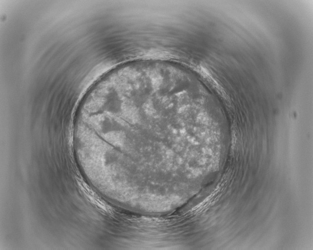 X0000087021232200705141848