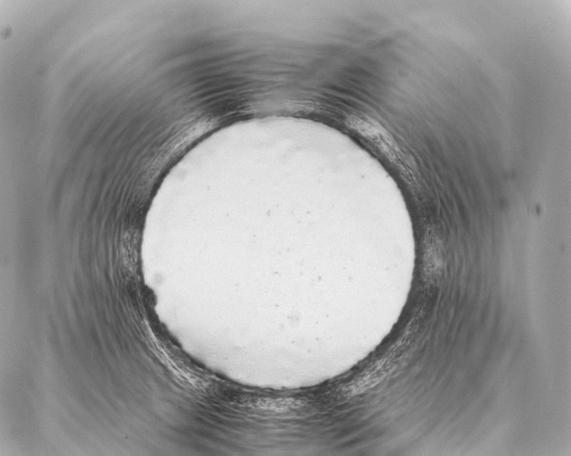 X0000087021233200705141848