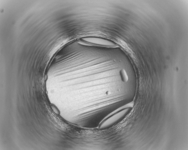 X0000087021234200705141848