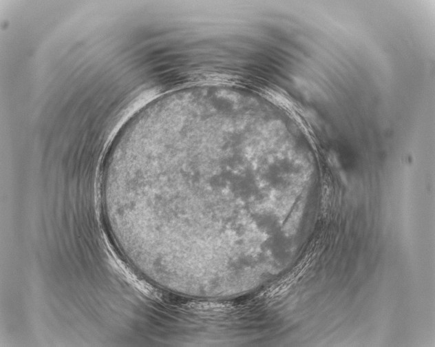 X0000087021235200705141848