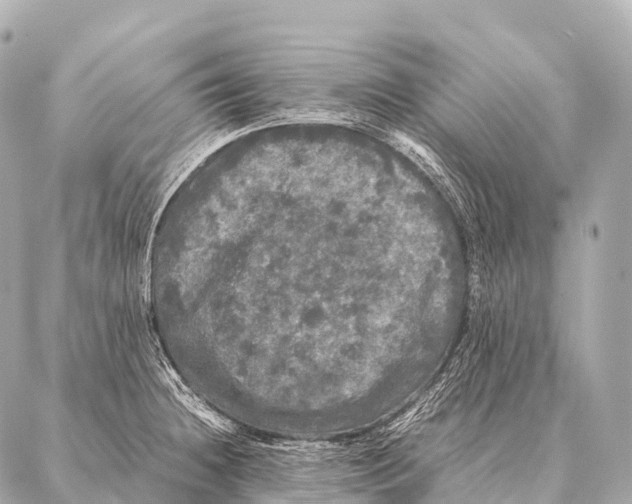 X0000087021236200705141848