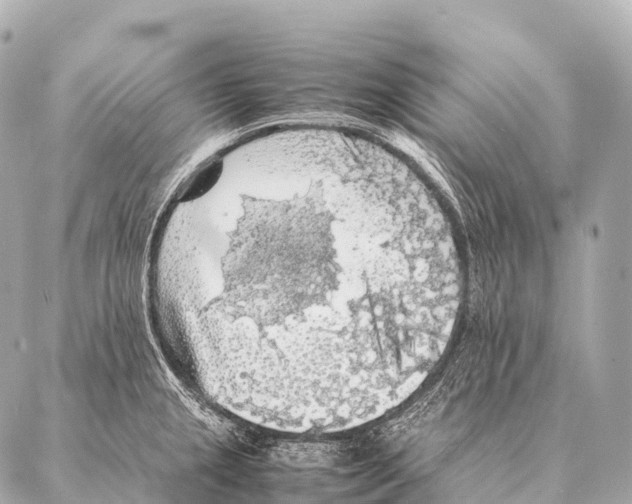 X0000087021237200705141848