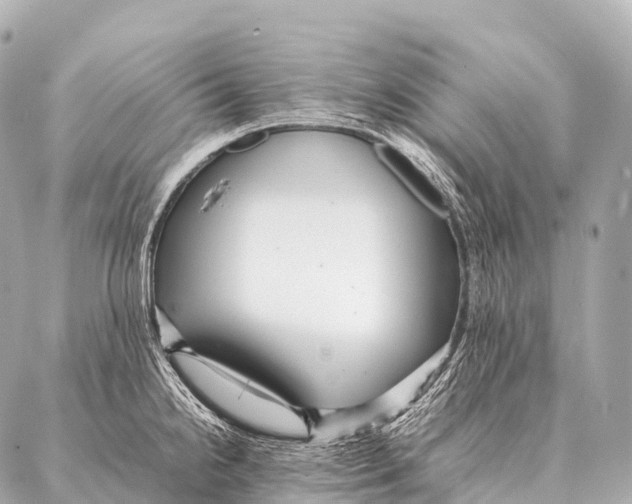 X0000087021238200705141848