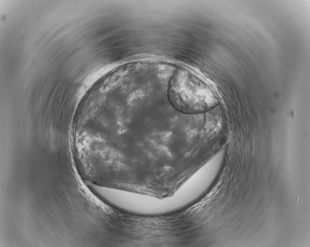 X0000087021239200705141848