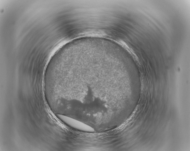 X0000087021240200705141848