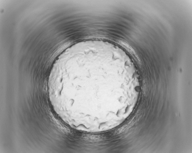 X0000087021241200705141848