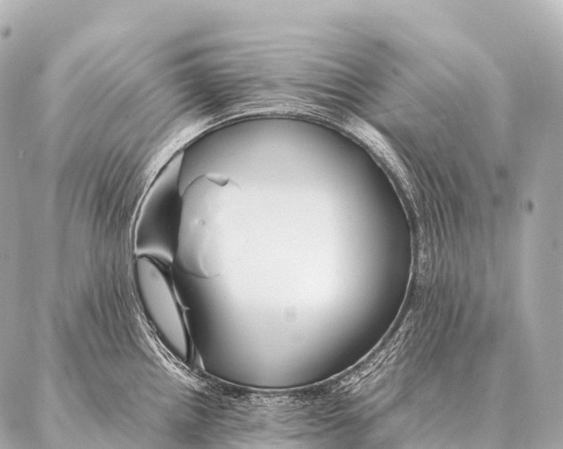 X0000087021242200705141848