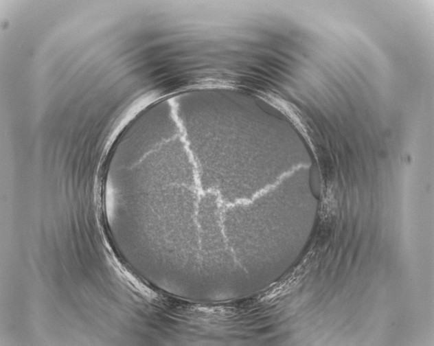 X0000087021243200705141848