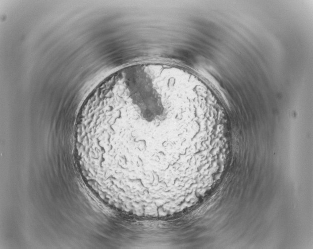 X0000087021244200705141848