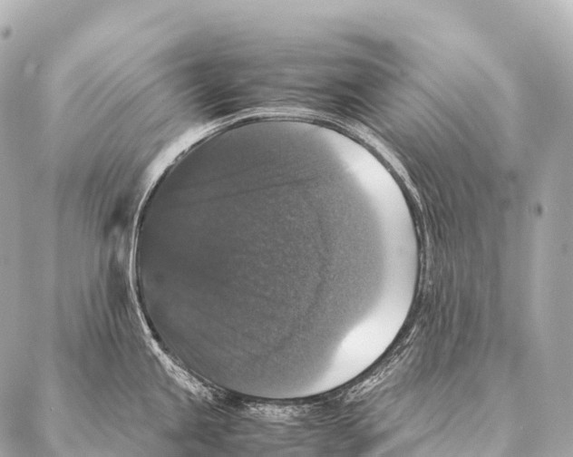 X0000087021245200705141848