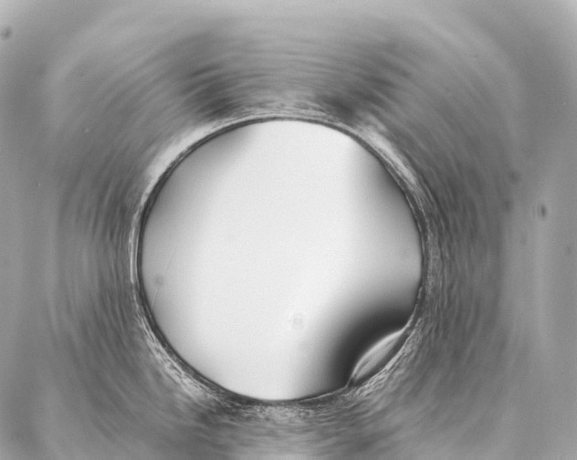 X0000087021246200705141848