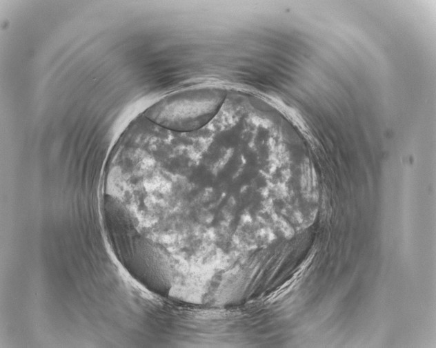 X0000087021247200705141848