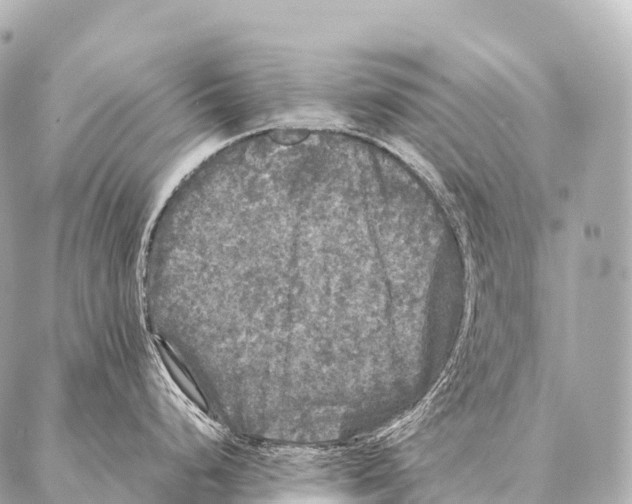 X0000087021248200705141848