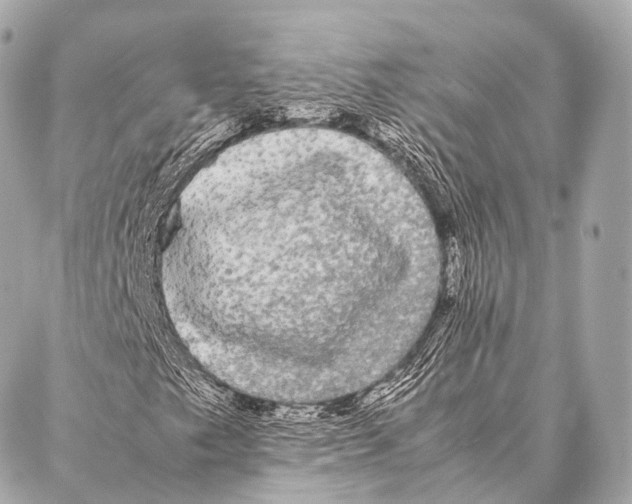 X0000087021249200705141848