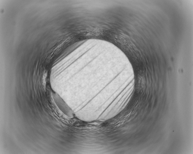 X0000087021250200705141848