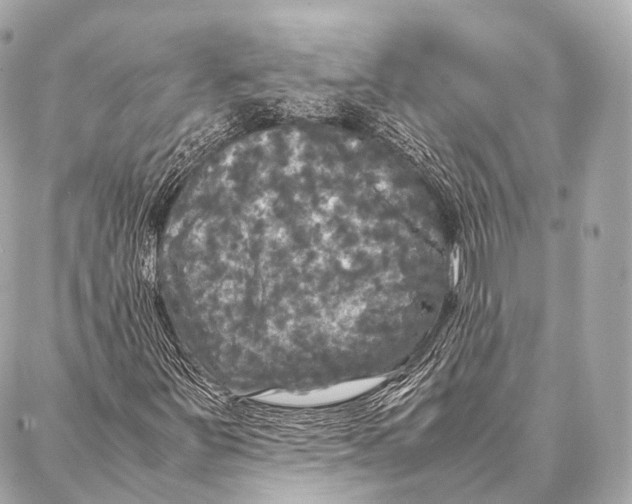 X0000087021251200705141848