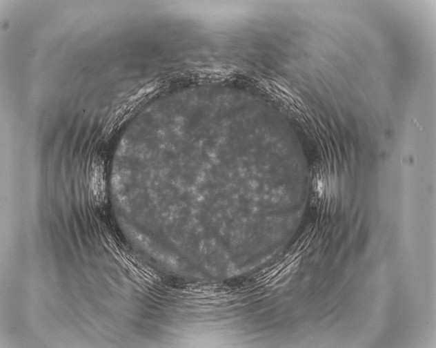 X0000087021252200705141848