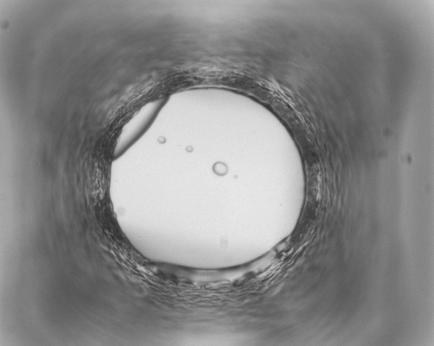 X0000087021253200705141848