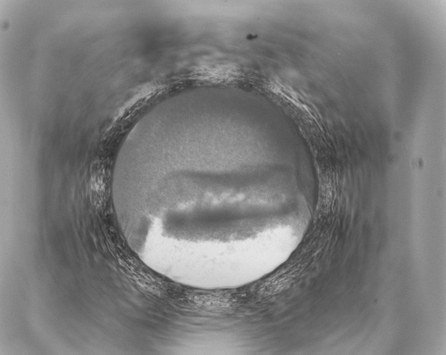 X0000087021254200705141848