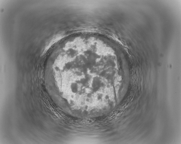 X0000087021255200705141847