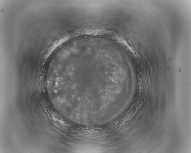 X0000087021256200705141847